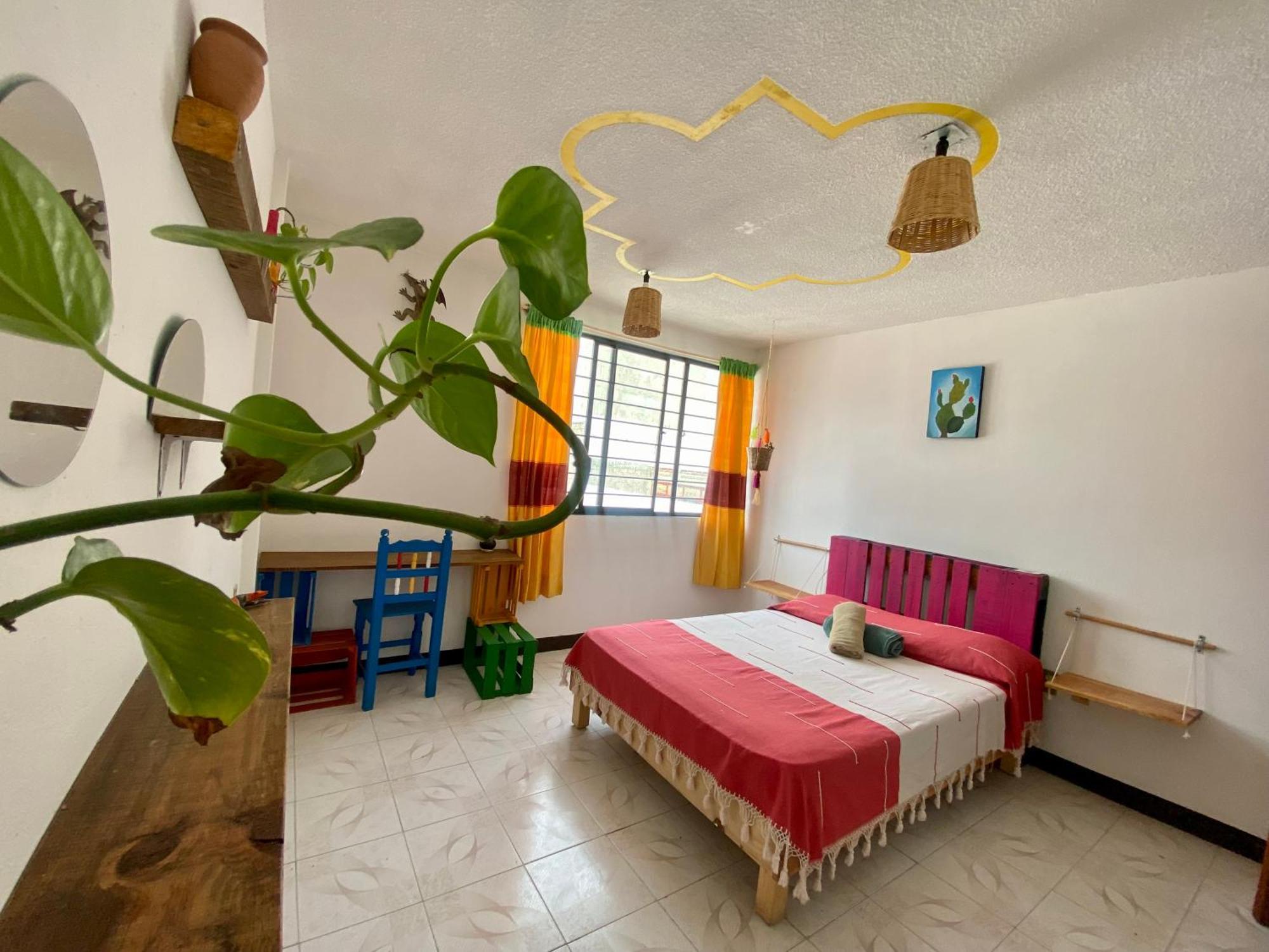 オアハカ州 Casa El Mundoホステル エクステリア 写真