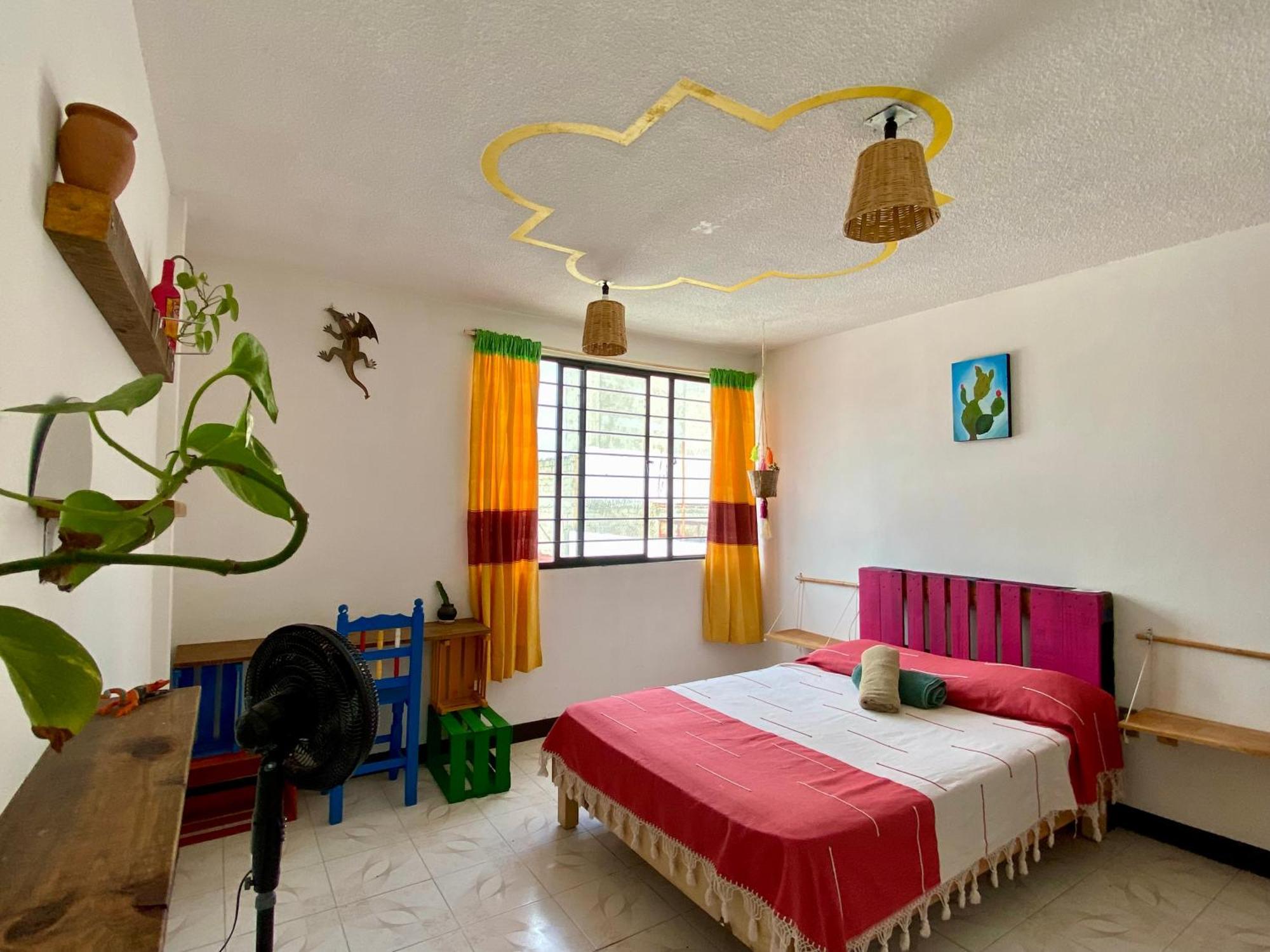 オアハカ州 Casa El Mundoホステル エクステリア 写真