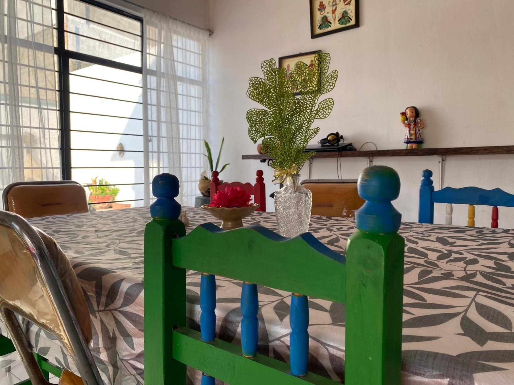 オアハカ州 Casa El Mundoホステル エクステリア 写真